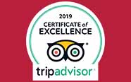 trip advisor