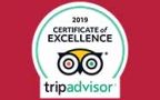 Trip advisor 2019 certificate of excellence logo
